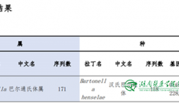 “撸”猫需谨慎！小心“猫抓病”