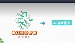 【健康科普在湖一】守”胃“健康，无”幽”无虑