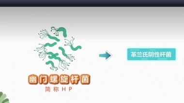 【健康科普在湖一】守”胃“健康，无”幽”无虑